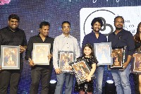 Hi Nanna Movie Success Celebrations Photos